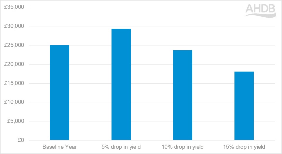 Graph showing impact of reduced yields but increased prices on the virtual mixed farm